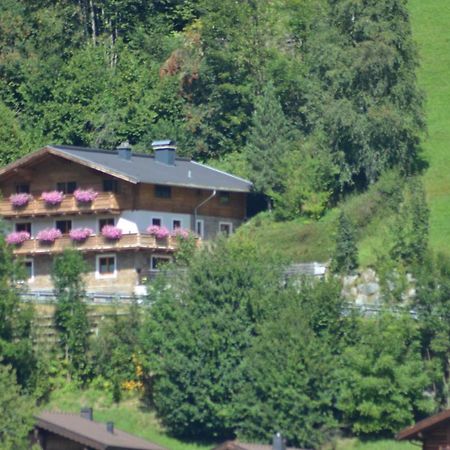 Ferienhaus Rieder Валд им Пинцгау Екстериор снимка